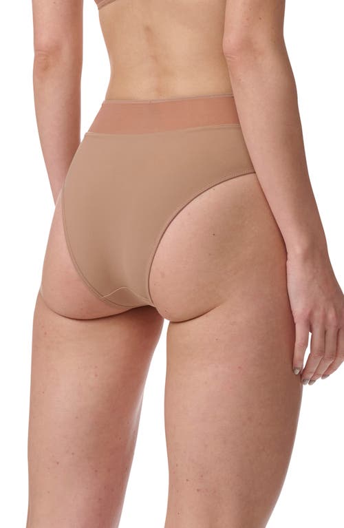 Wolford Mesh Panel Briefs In Macchiato