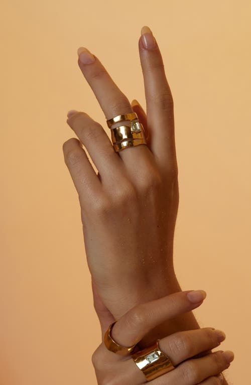 Shop Lady Grey Wade Ring In Gold/green Amethyst