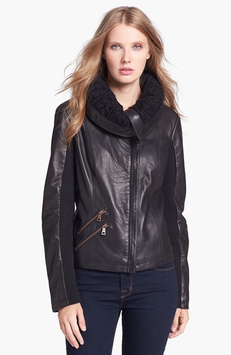 Sam Edelman Knit Collar Leather Jacket | Nordstrom