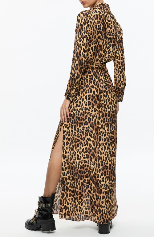 Shop Alice And Olivia Alice + Olivia Chassidy Leopard Print Long Sleeve Maxi Shirtdress In Spotted Leopard Dark Tan