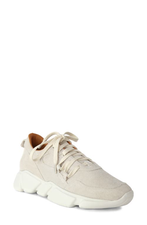 B*O*G COLLECTIVE Platform Sneaker in Suede Natural