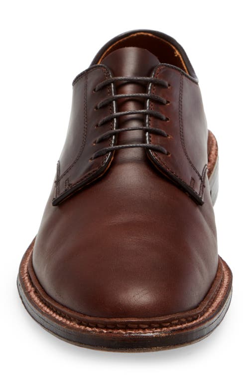 Shop Alden Shoe Company Alden Blucher Plain Toe Derby In Brown Aniline