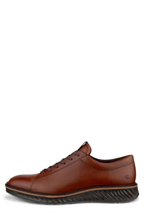 Shop Ecco St.1 Hybrid Derby In Cognac