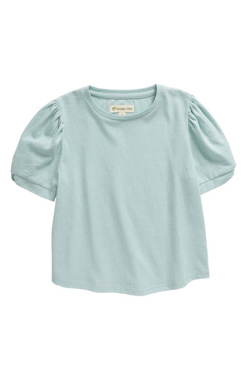 Shop Tucker + Tate Kids' Daily Puff Sleeve T-shirt In Blue Raindrop