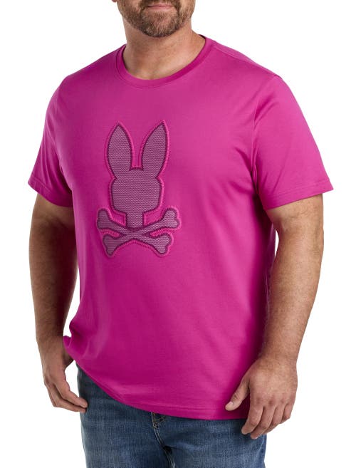 PSYCHO BUNNY PSYCHO BUNNY RIVIERA GRAPHIC TEE 