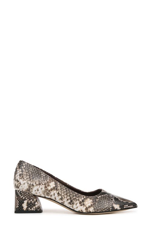 Shop Franco Sarto Racer Pointed Toe Pump In Grey