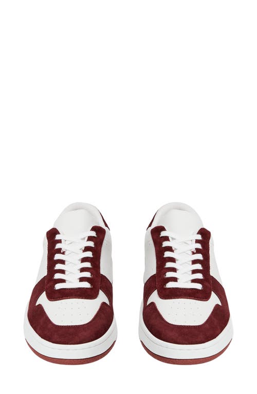 Shop Paige Remy Sneaker In Burgundy/white