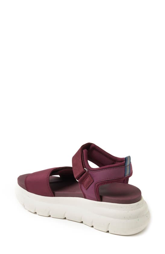 Shop Dearfoams Odell Ankle Strap Platform Sandal In Fig