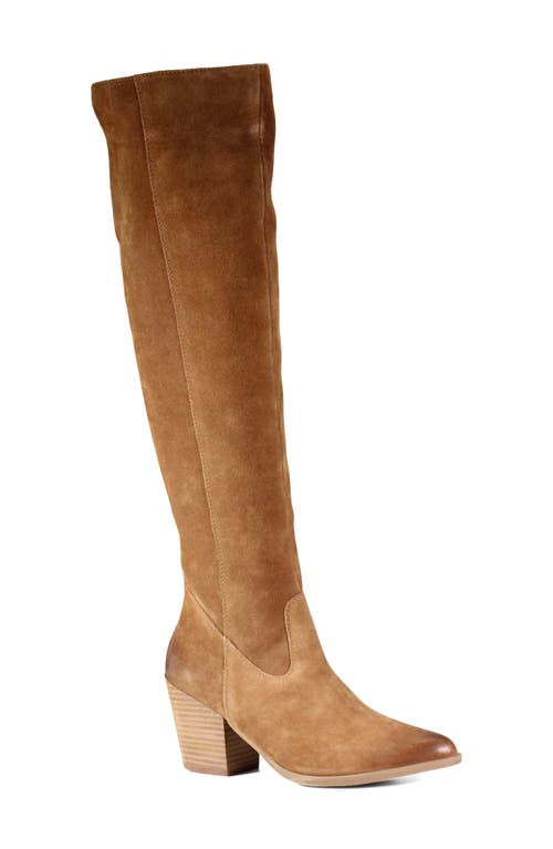 Cinna Knee High Pointed Toe Boot in Sable