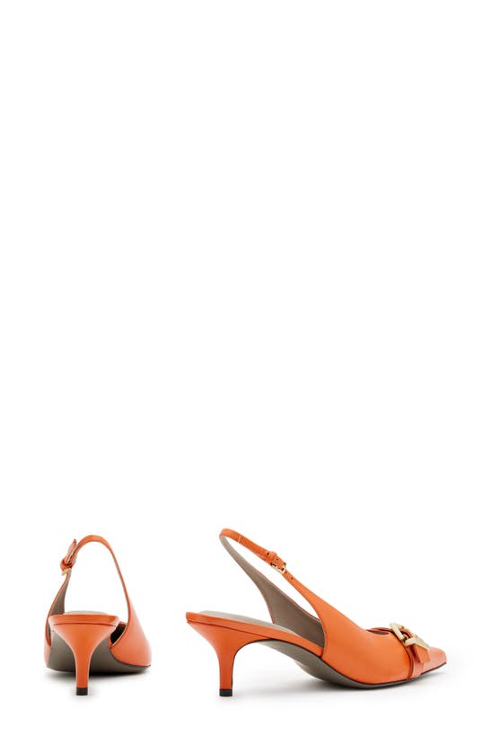 Shop Allsaints Selina Pointed Toe Slingback Pump In Zesty Orange