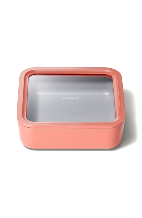 CARAWAY -Cup Glass Food Storage Container in Perracotta at Nordstrom
