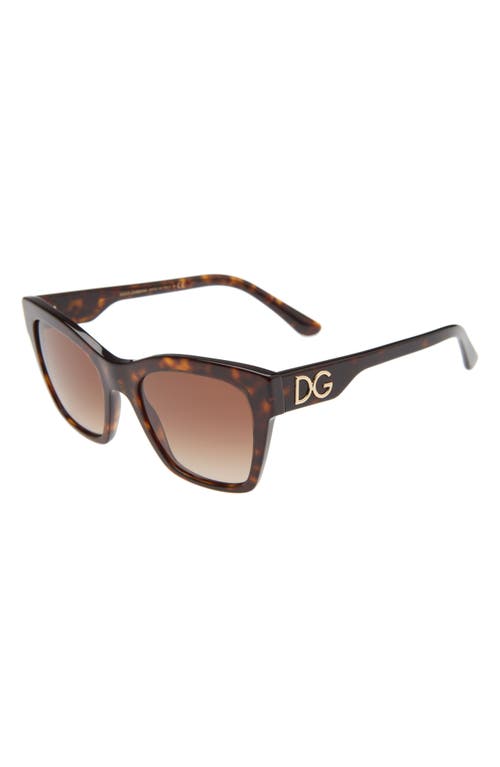 Dolce & Gabbana 53mm Gradient Cat Eye Sunglasses In Havana/brown Gradient