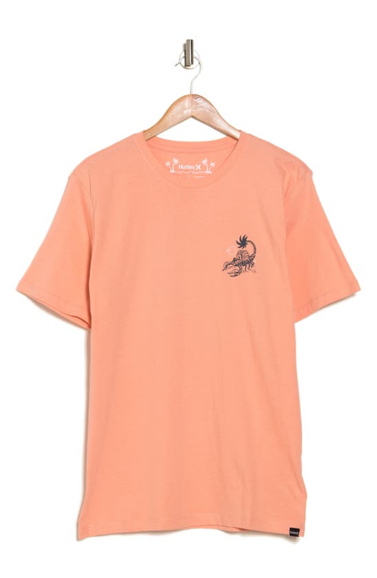Hurley Everyday Washed Poison Palapas Cotton Graphic T-shirt In Pink Quest
