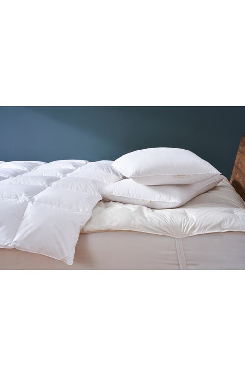 Coyuchi Organic Cotton Pillow Protector in Alpine White at Nordstrom
