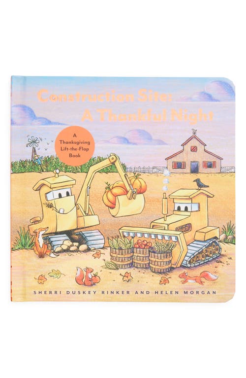 Chronicle Books 'Contstruction Site: A Thankful Night' Board Book in Multi 