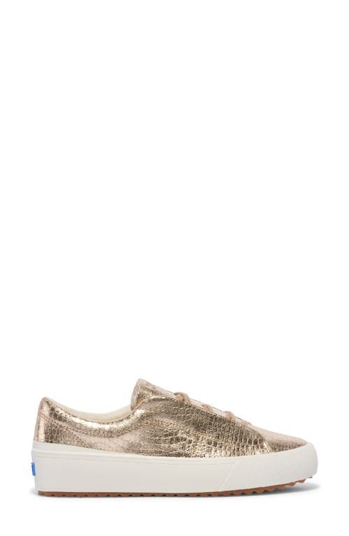 Keds ® Remi Platform Sneaker In Champagne Leather
