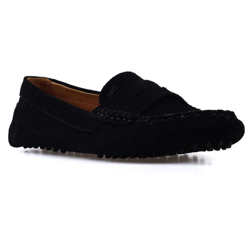 National Comfort Talulah Penny Loafer In Black Suede