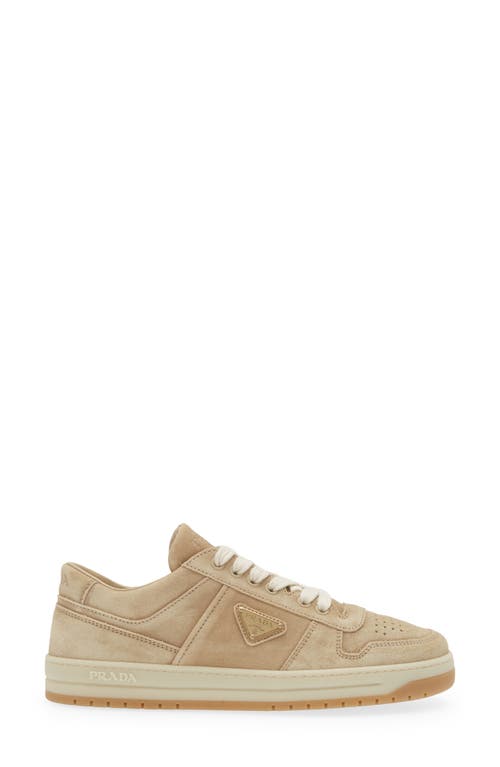 Shop Prada Downtown Sneaker In Ecru