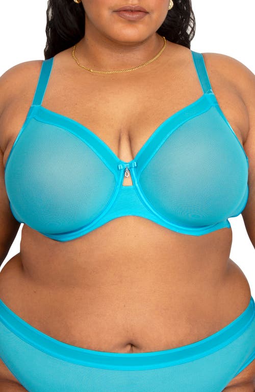 Curvy Couture Full Figure Mesh Underwire Bra In Blue