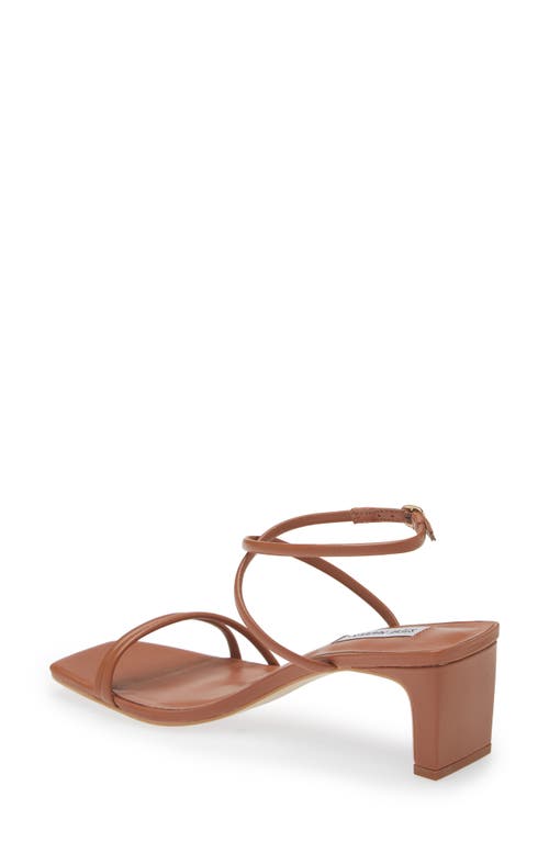 Shop Steve Madden Stefania Ankle Strap Sandal In Brown Leather