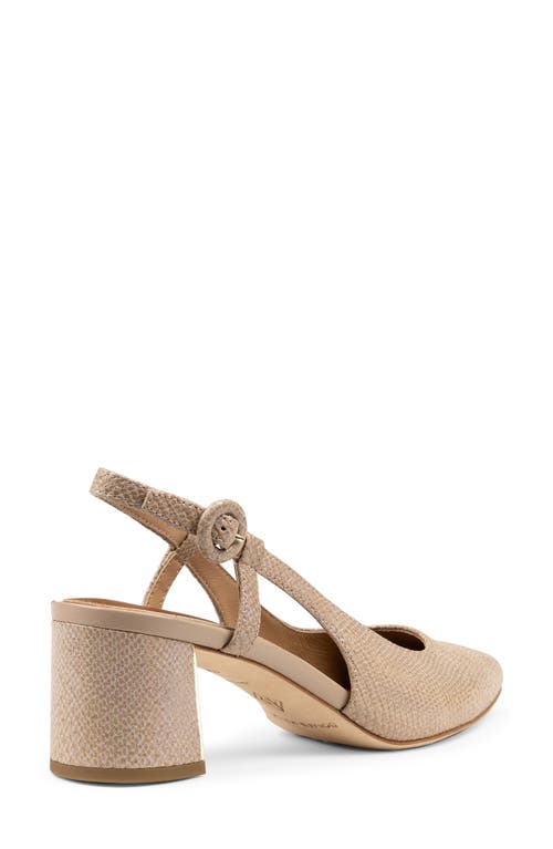 Shop Donald Pliner Song Slingback Pointed Toe Pump In Sand