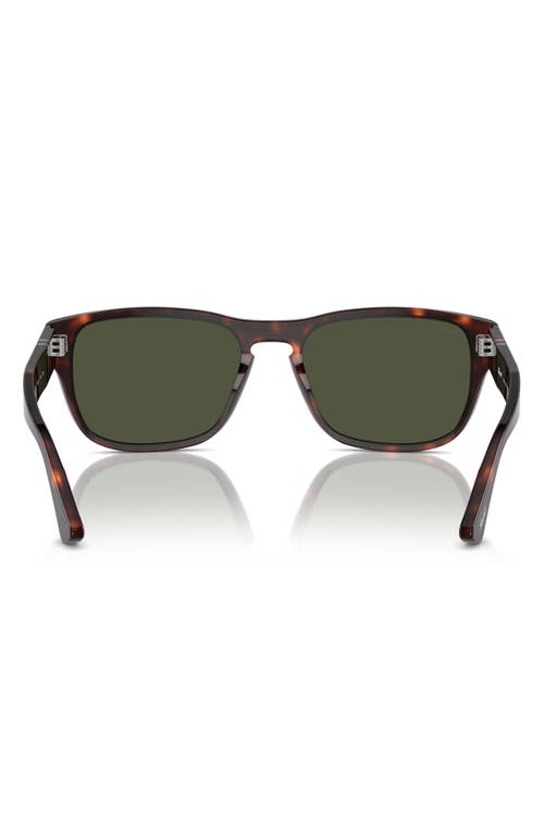 Persol 55mm Pillow Sunglasses In Havana