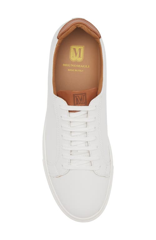 Bruno Magli Daniel Low Top Sneaker In White