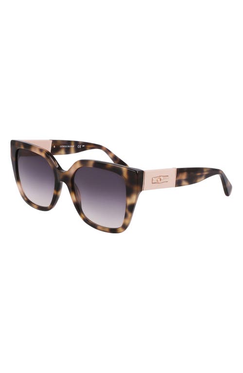 Shop Longchamp Roseau 54mm Butterfly Sunglasses In Havana