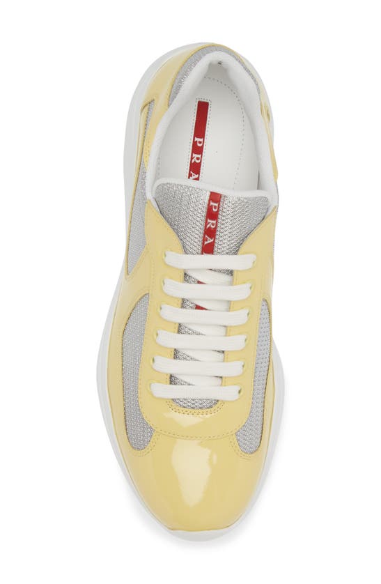 Shop Prada America's Cup Sneaker In Limone/ Argento