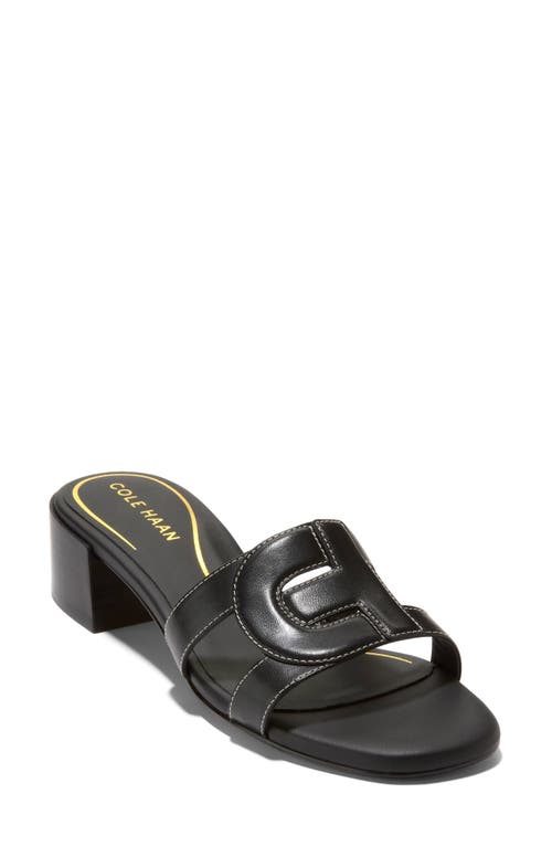 Shop Cole Haan Chrisee Block Heel Slide Sandal In Black Ltr