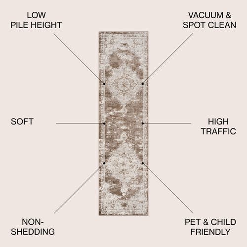 Jonathan Y Alhambra Ornate Medallion Modern Area Rug In Brown/cream
