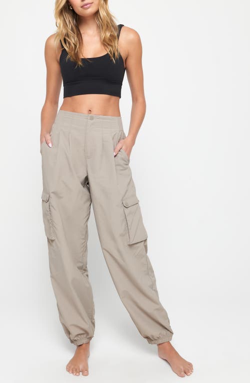 Shop Spiritual Gangster Talyor Nylon Cargo Jogger Pants In Taupe