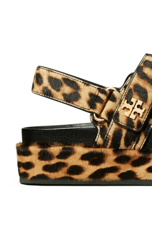 Shop Tory Burch Kira Slingback Sport Platform Sandal In Classic Leopard