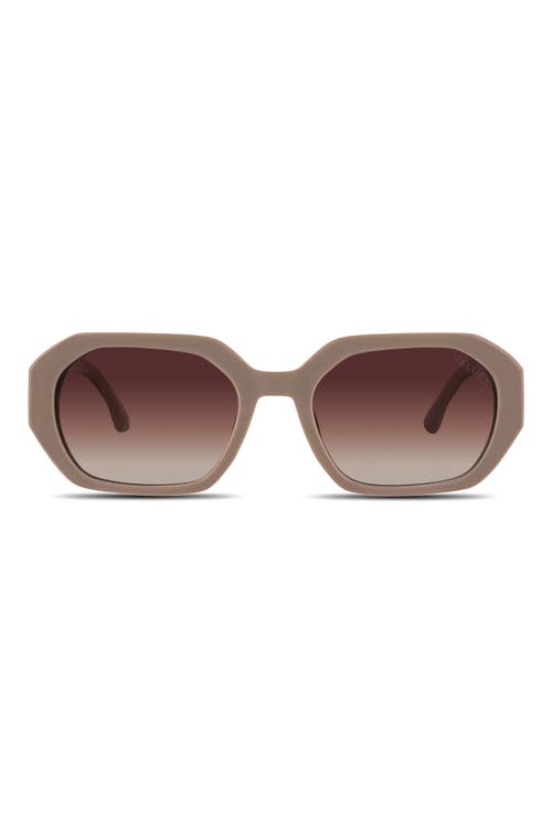 Velvet Eyewear Nina Sunglasses in Beige 