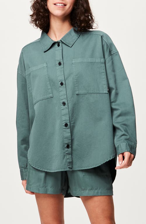 Catalya Linen & Cotton Button-Up Shirt in Sea Pine