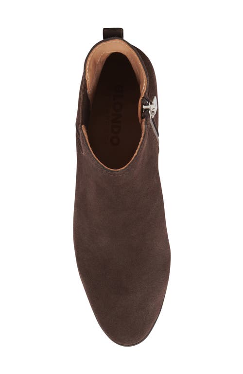 Blondo Victory Waterproof Bootie In Java Suede