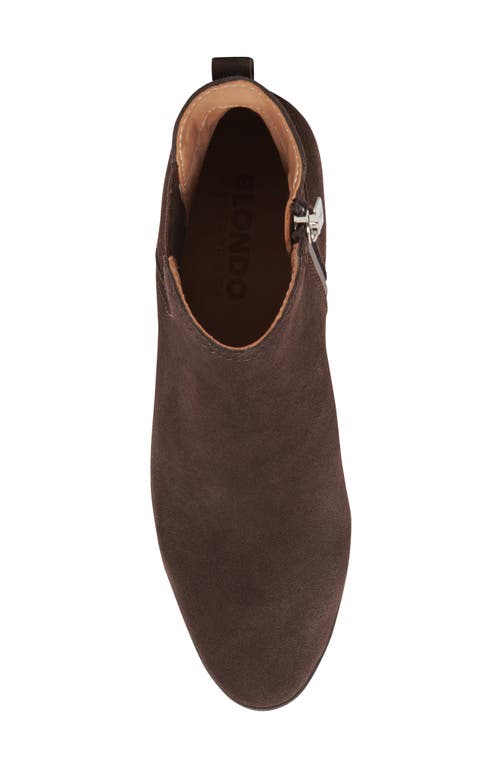 Shop Blondo Victory Waterproof Bootie In Java Suede