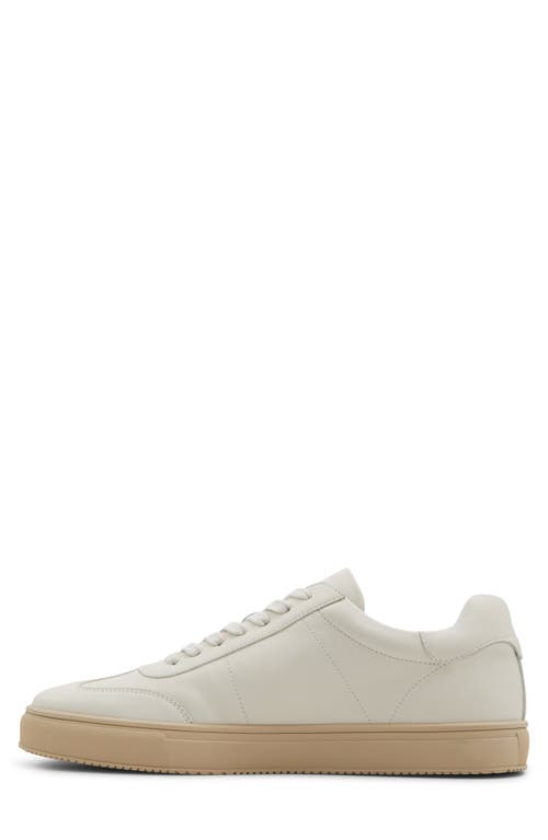 Shop Aldo Ross Sneaker In Bone