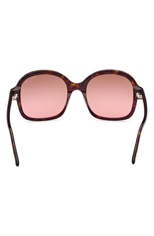 Shop Tom Ford Hanley 57mm Butterfly Sunglasses In Shiny Dark Havana/brown