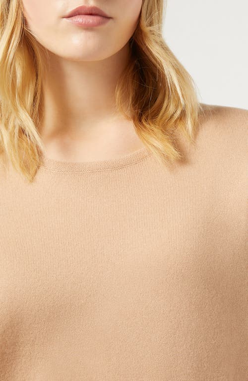 Shop Marina Rinaldi Whist Short Sleeve Cashmere Sweater In Camel