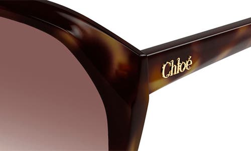 Shop Chloé 57mm Gradient Rectangular Sunglasses In Havana