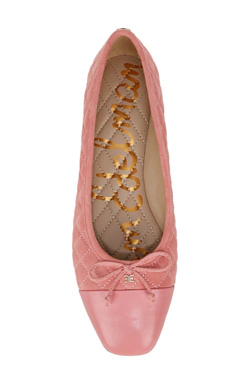 Shop Sam Edelman Marilyn Cap Toe Ballet Flat In Mod Pink