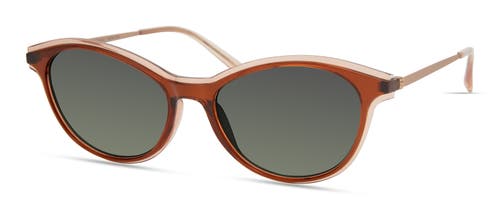 Modo 706 Sunglasses In Warm Brown