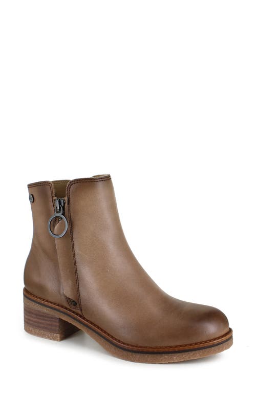 Shop National Comfort Carinna Bootie In Taupe