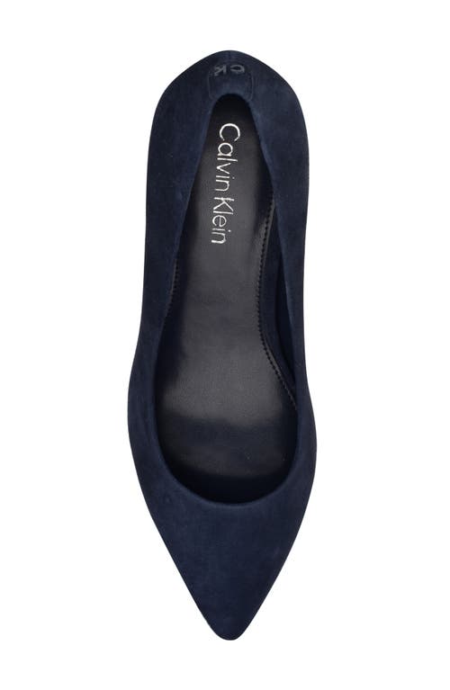 Shop Calvin Klein Lenott Pointed Toe Pump In Dark Blue