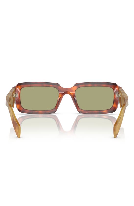 Shop Prada 55mm Cat Eye Sunglasses In Green