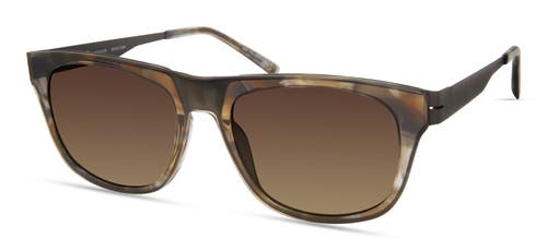 Modo 474 Sunglasses In Grey Green Tortoise