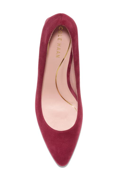 Shop Cole Haan Cassandra Pointed Toe Pump In Cherry Black