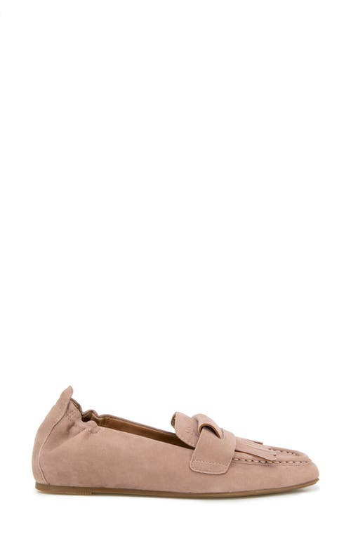 Shop Gentle Souls By Kenneth Cole Gentle Souls Scotty Kiltie Loafer In Fawn Suede