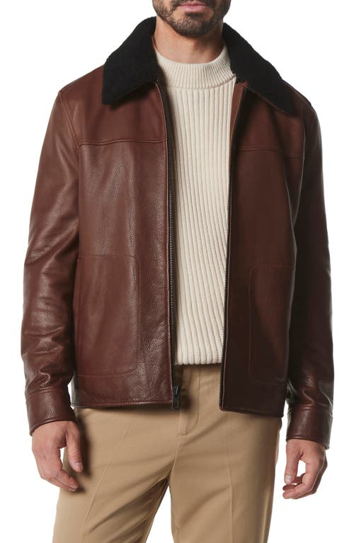 Andrew Marc Truxton Genuine Shearling Trim Leather Jacket in Mocha
